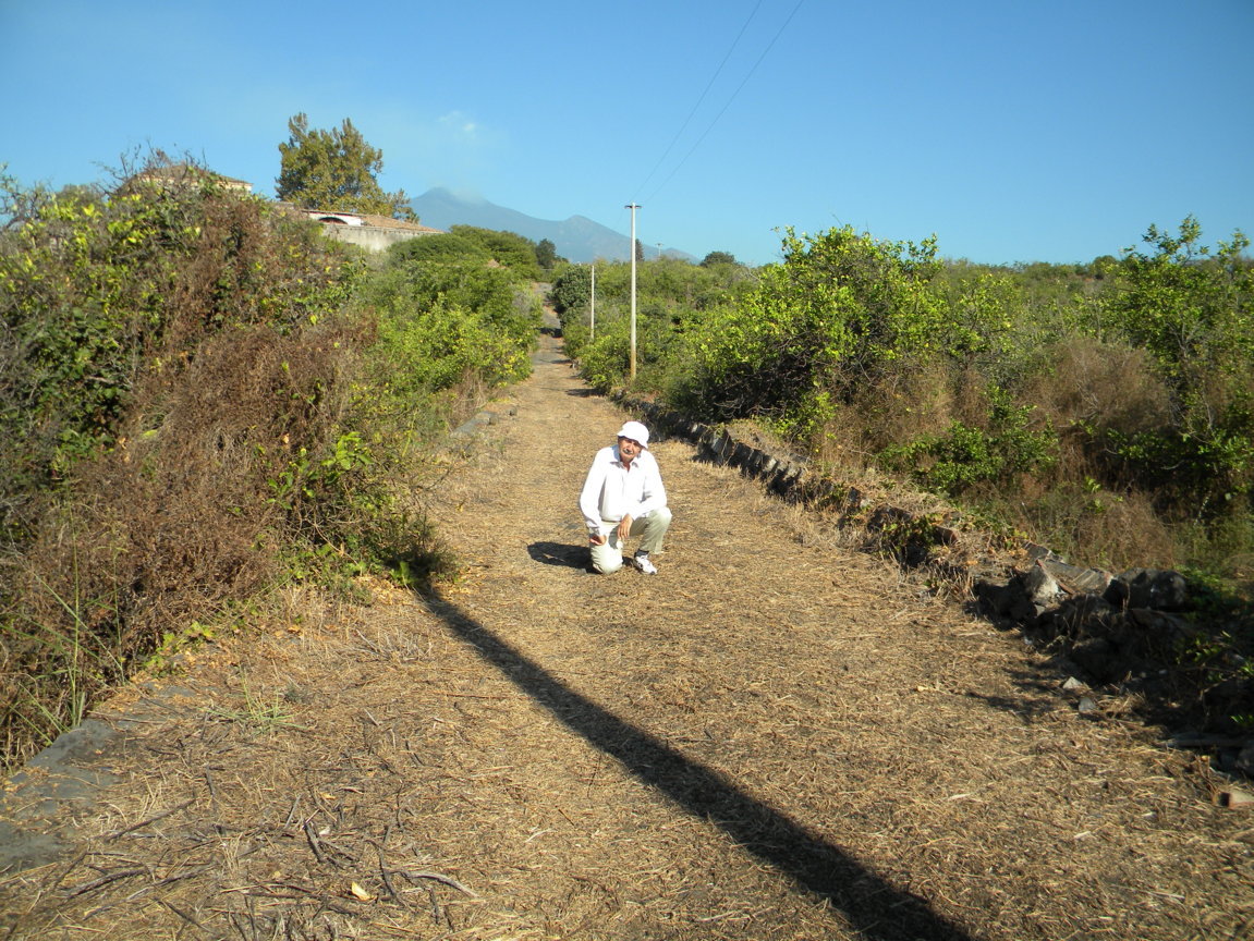 DSCN8137 .JPG